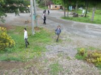 img (340)